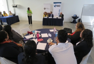 AUDITORES CCR CONOCEN SOBRE &ldquo;APLICACI&Oacute;N DE LA GU&Iacute;A DE AUDITOR&Iacute;A FINANCIERA DE PROYECTOS FINANCIADOS POR LA COOPERACI&Oacute;N INTERNACIONAL&rdquo;